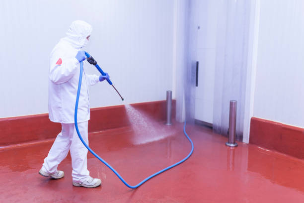 Best Graffiti Removal  in Whitemarsh Island, GA